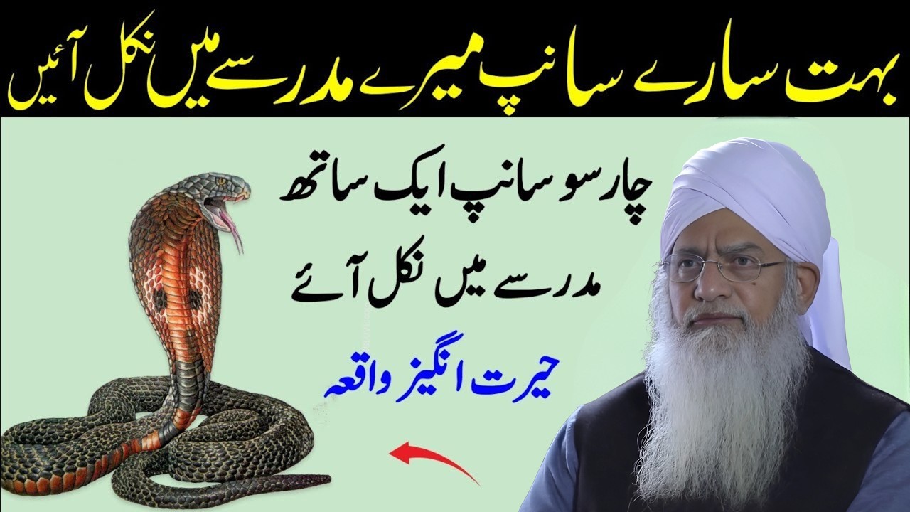 400 Sanp Eik Sath Mere Madrase Mai Nikalne ka Waqia |Peer Zulfiqar Ahmad Naqshbandi