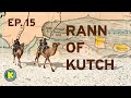 Rann of kutch  how was it formed and why is it so white  ep 15