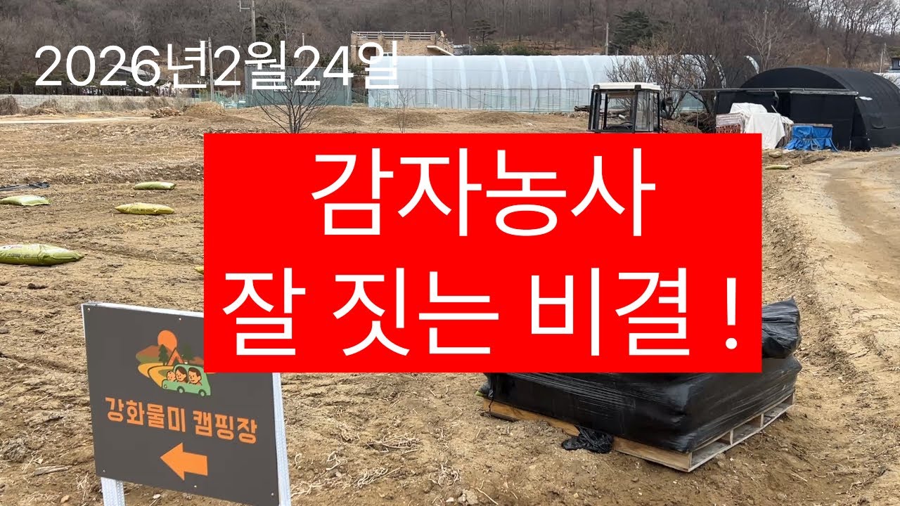 감자농사는 첫번째 좋은 땅과 거름!