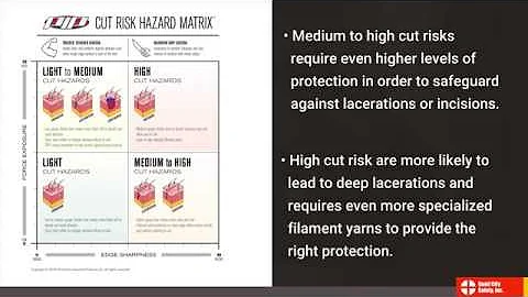 Expert Advice for Choosing the Best Cut Resistant Glove