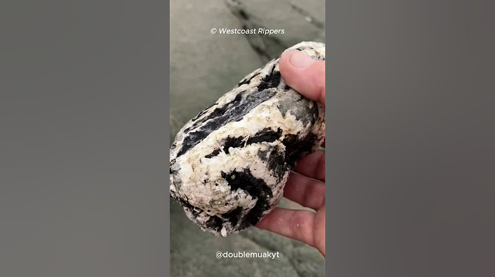Vomito di balena = profumo di lusso? 🐳🌼