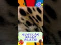 ズームアウトクイズ🔍だんだん見えてくる！これは何かな？