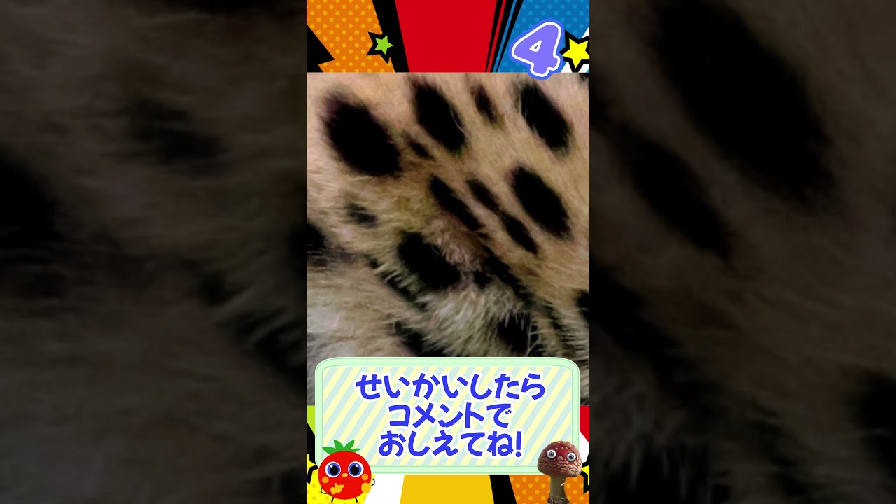 ズームアウトクイズ🔍だんだん見えてくる！これは何かな？