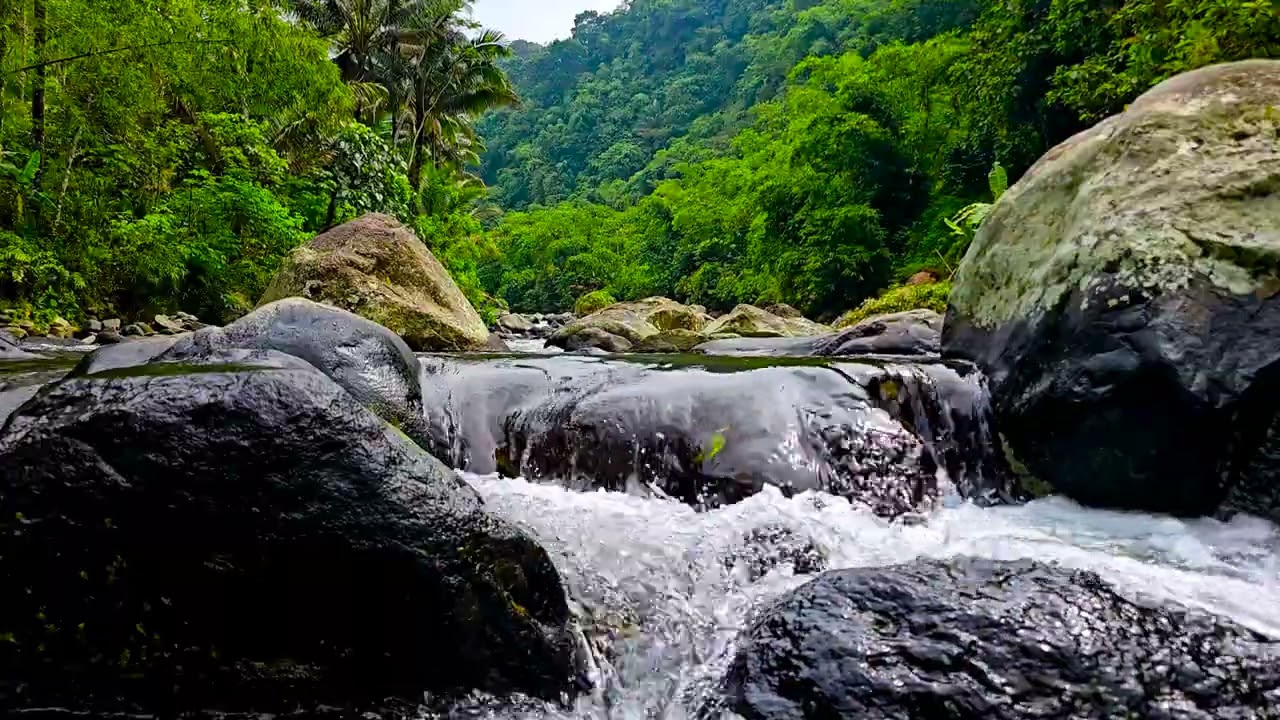 Immersive Jungle River Sounds 🌿 Powerful Water Flow for Deep Sleep (4K Nature Ambience)