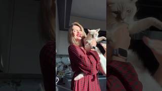 Мой лучший усик #andrella #cat #marcelandarchie #котики #животные #андрелла #animals #cute #funnycat