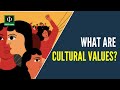 What are cultural values