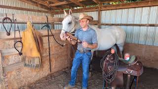 How To Measure For And Shape A Hackamore