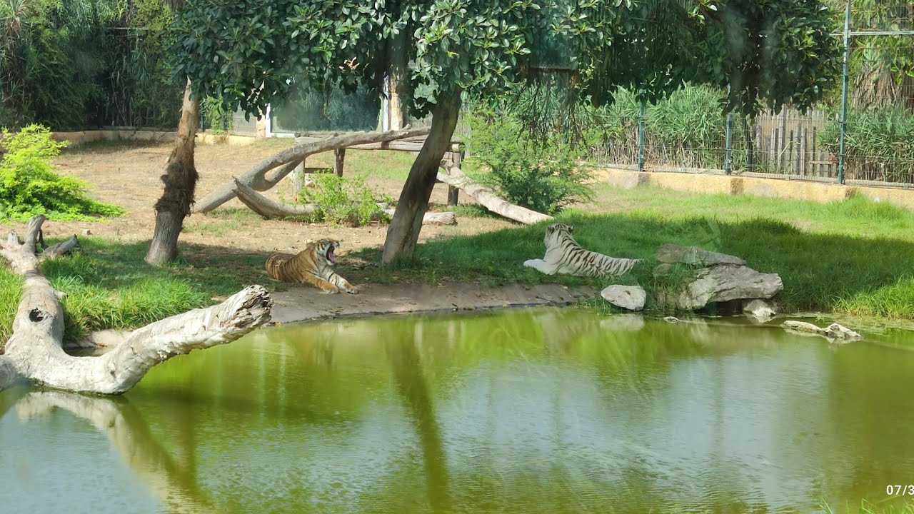 شاركت معاكم جولة في بارك سندباد الدارالبيضاء - parc sindibad 👆🏻