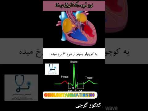 همه چیز درمورد نوارقلب قلب خدا زیست کنکور کنکور نهایی پزشکی کنکور1404 انیمیشن سوالات کنکور