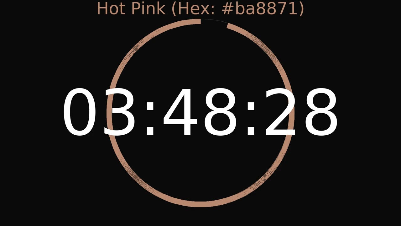 4 Hour Timer | Hot Pink Colour