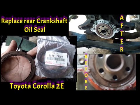 Automotive Oil Seals By Size