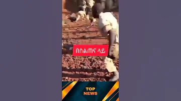 በስልጠና ላይ Newethiopia News Mekele Mekelakeya 