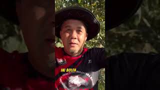 Saya kongsikan baja yg saya gunakan untuk mengelakkan bunga durian gugur terutamanya di musim hujan.
