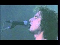 Andrés Calamaro - Vigilante medio argentino. Made in Argentina. Directo 2005