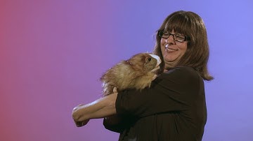 Folkmanis® Guinea Pig Puppet Demo - Retired