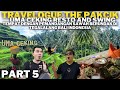 VLOG BALI 5 : ORANG MALAYSIA PERTAMA KALI KAGET LIHAT PADI BERTINGKAT DI UMA CEKING BALI