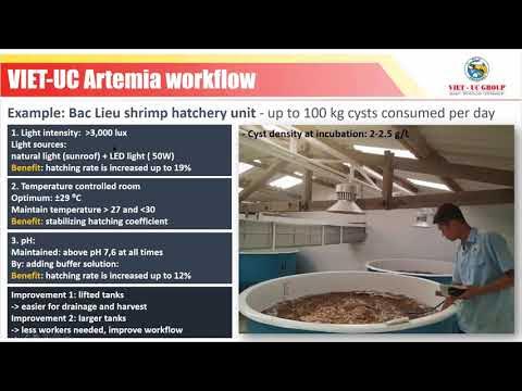 Webinar: Status of Artemia cyst use in fish and crustacean hatcheries