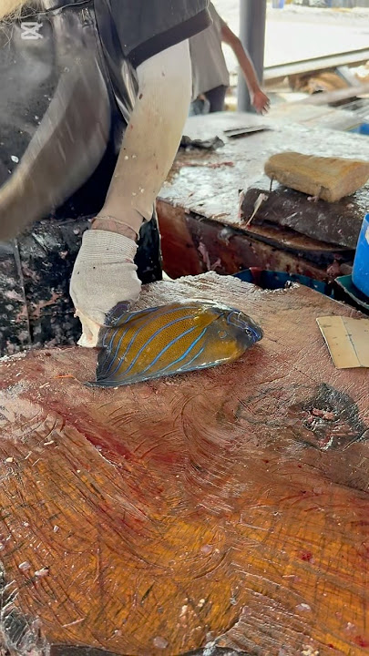 Beautiful Fish Cutting Fast