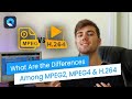 What Are the Differences Among H.264, MPEG2 & MPEG4?