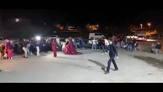 Niğde Halayları - Onur Gül