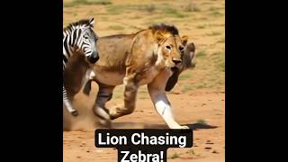 The Lion’s Chase: A Wild Instinct in Action | AI Nature Documentary #shorts