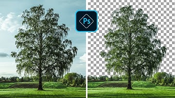 Powerful Techniques To CUT OUT Trees In Photoshop #photoshop