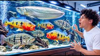Full I Filled My $5,000 Aquarium With MONSTER FISH! Guide
