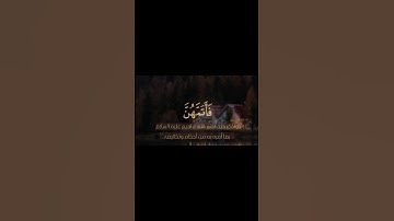سورة البقرة #المنشاوي #اكسبلور #المصحف #راحة_نفسية