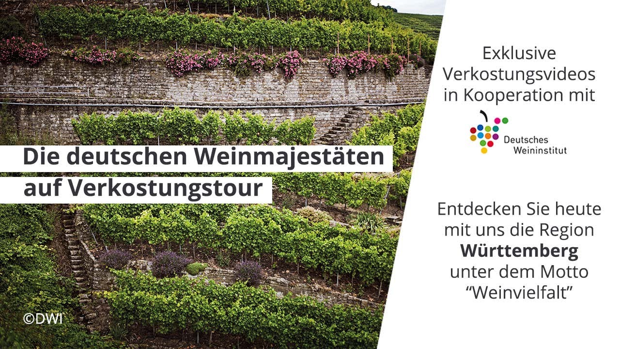 Weinreise durch Württemberg