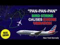Engine vibration due to bird strike american boeing 737 returns to new york kennedy real atc