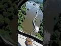 Giant Anaconda Caught On Amazon Clip Trendingreels Anaconda Amazon Ai Viralreels Giant Anaconda Caught On Amazon Clip Trendingreels Anaconda Amazon Ai Viralreels