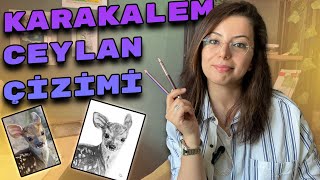 Karakalem Ceylan Çizimi / Ders 10 / Karakalem Teknikleri