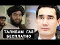 Талибы рассказали о планах обеспечения безопасности ТАПИ за бесплатный газ от Сердар Бердымухамедова