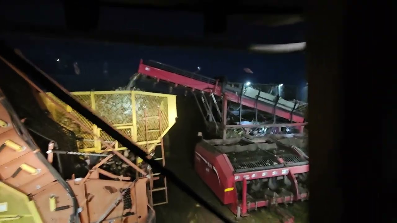 Beet Harvest 2023 Beet Cart