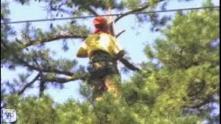 CS Tree Services Inc. Arborists in Raleigh
