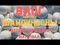 ВЛОГ выпуск 2. Изготовление покровного материала. Перегрев компоста. Пицца. Выращивание шампиньона