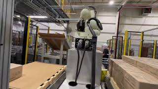 Dual Palletizer video