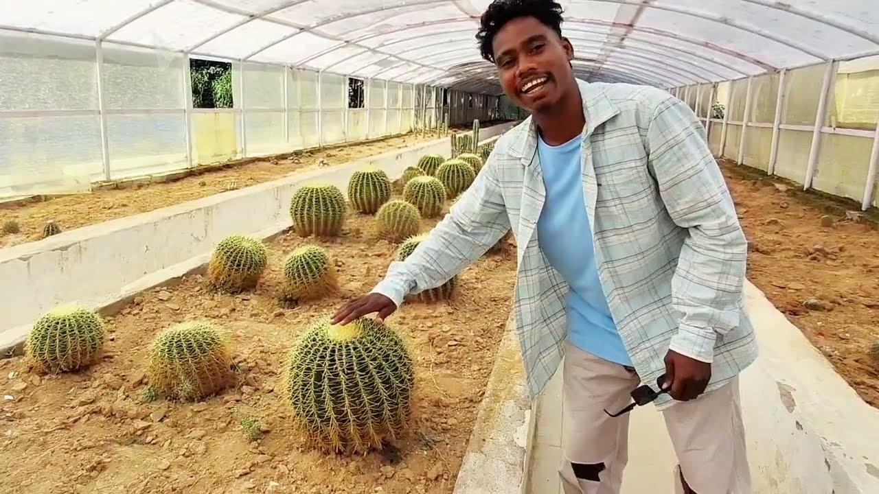 O My God Ye Kya Hai ll Binde Stunts Vlog 