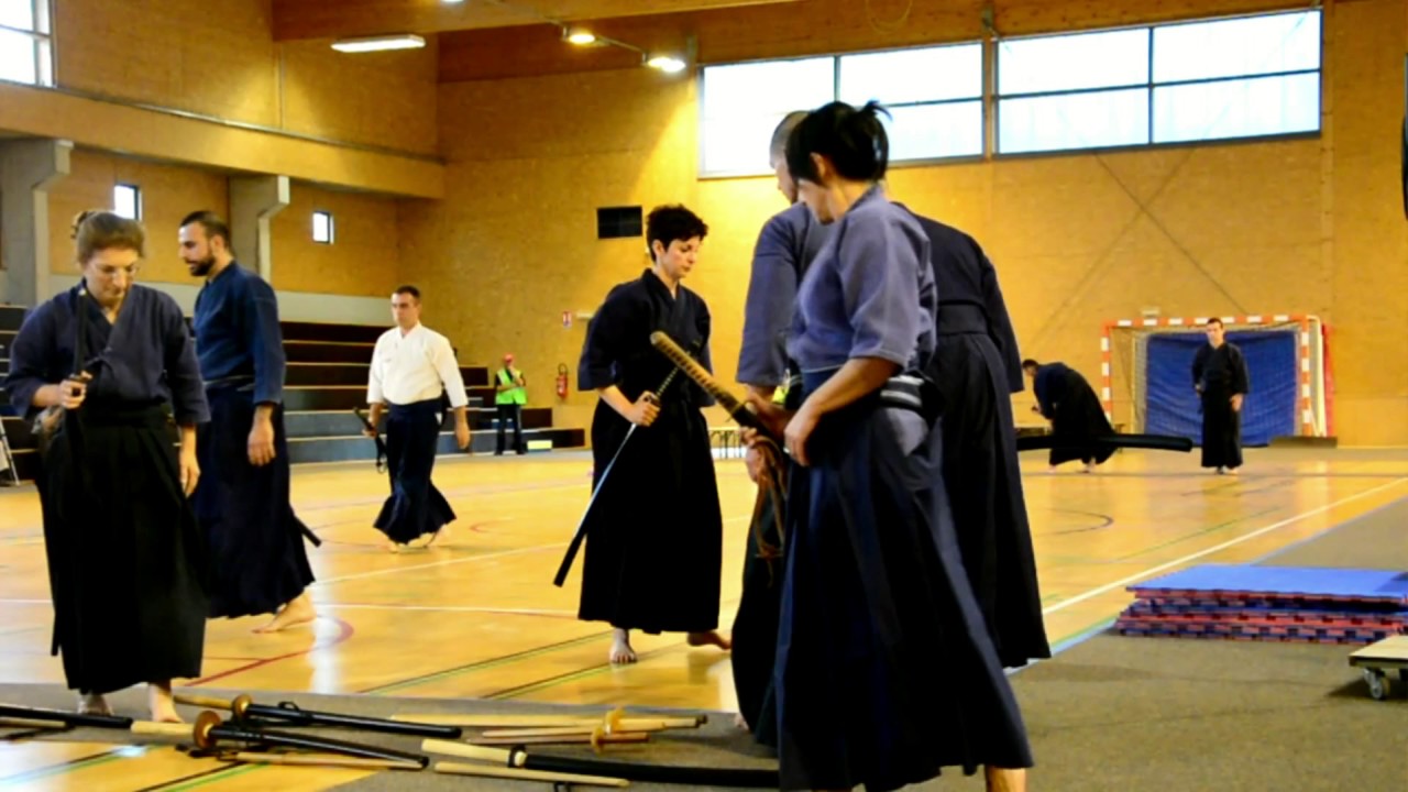Hoki Ryu & Katayama Ryu