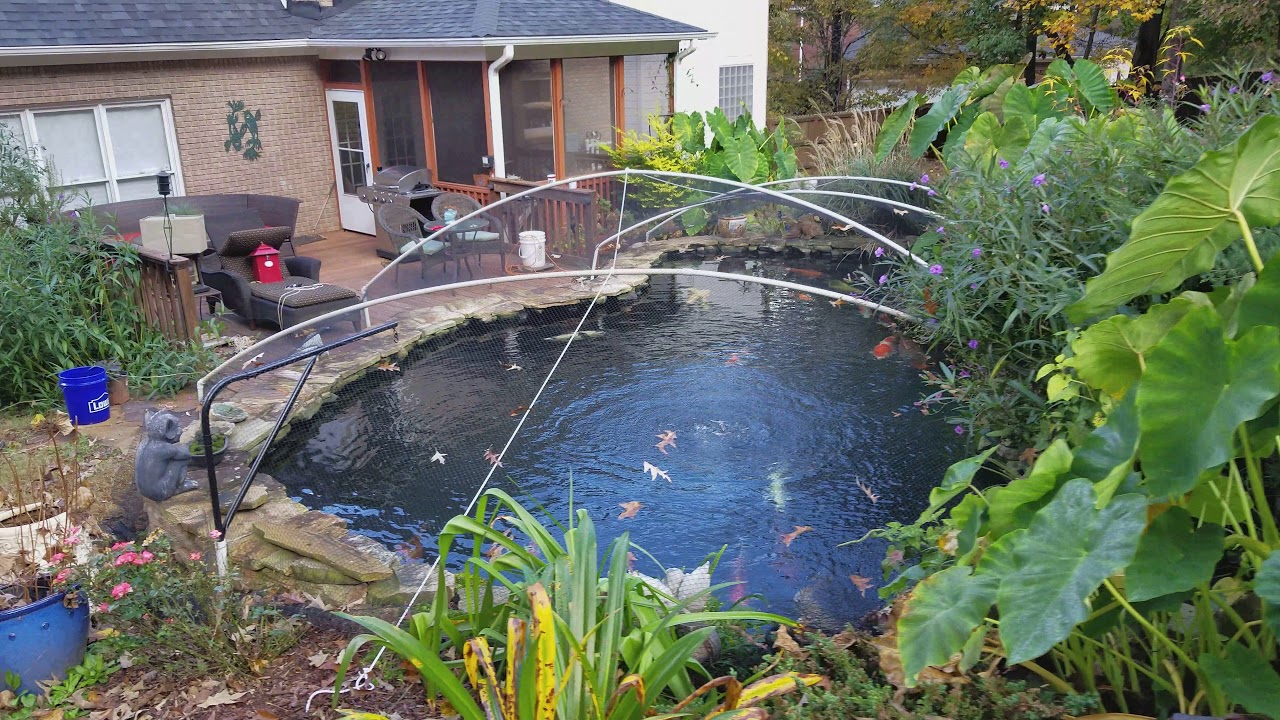 Pond Netting Technique 