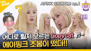 (ENG sub / APINK CHOBOM ep-1) 멋대로 굴게 놔둬! 어디로 튈지 모르는 Copycat ♬~ CHOBOM Challenge