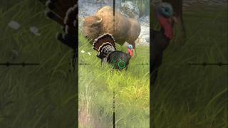 bison with brid hunting #wildhunting #hunting #sniper #huntingseason #youtubeshorts #gaming #shorts screenshot 1