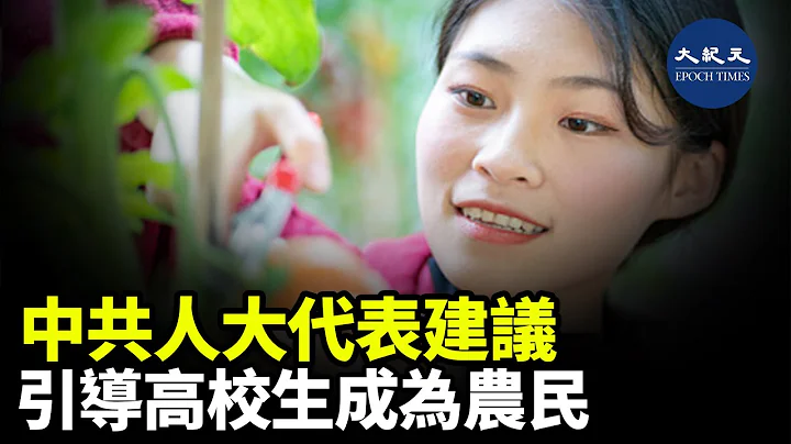 有中共全国人大代表建议，引导高校毕业生入职农民队伍，以解决大学生就业困难的问题，但是有传媒人质疑，有关学生会出现心理上的落差| #纪元香港 #EpochNewsHK - 天天要闻
