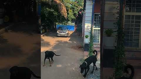 New Plantation Begins at Our Farm 🌿 A Fresh Start!