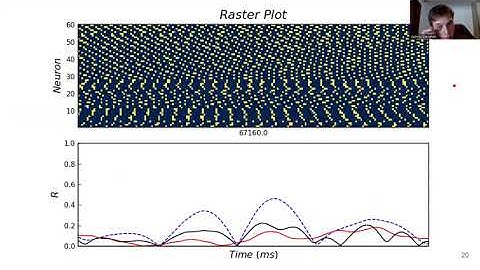Intermittent Chimera States In Network of Distinct Neurons - G. Marghoti