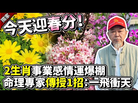 獨/今天迎「春分」！「2生肖」事業感情運爆棚 命理專家「傳授1招」：一飛衝天 @ChinaTimes