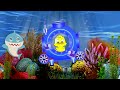 Baby shark with animal sounds         بيبي شارك مضيع امه