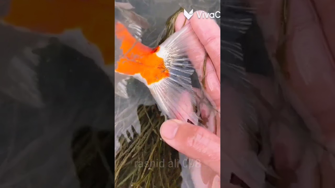 that keeps the surprised, conversational tone:My hands got a bit dirty, so I was told to wash them.