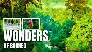 Borneo Jungle Adventure 2025!
