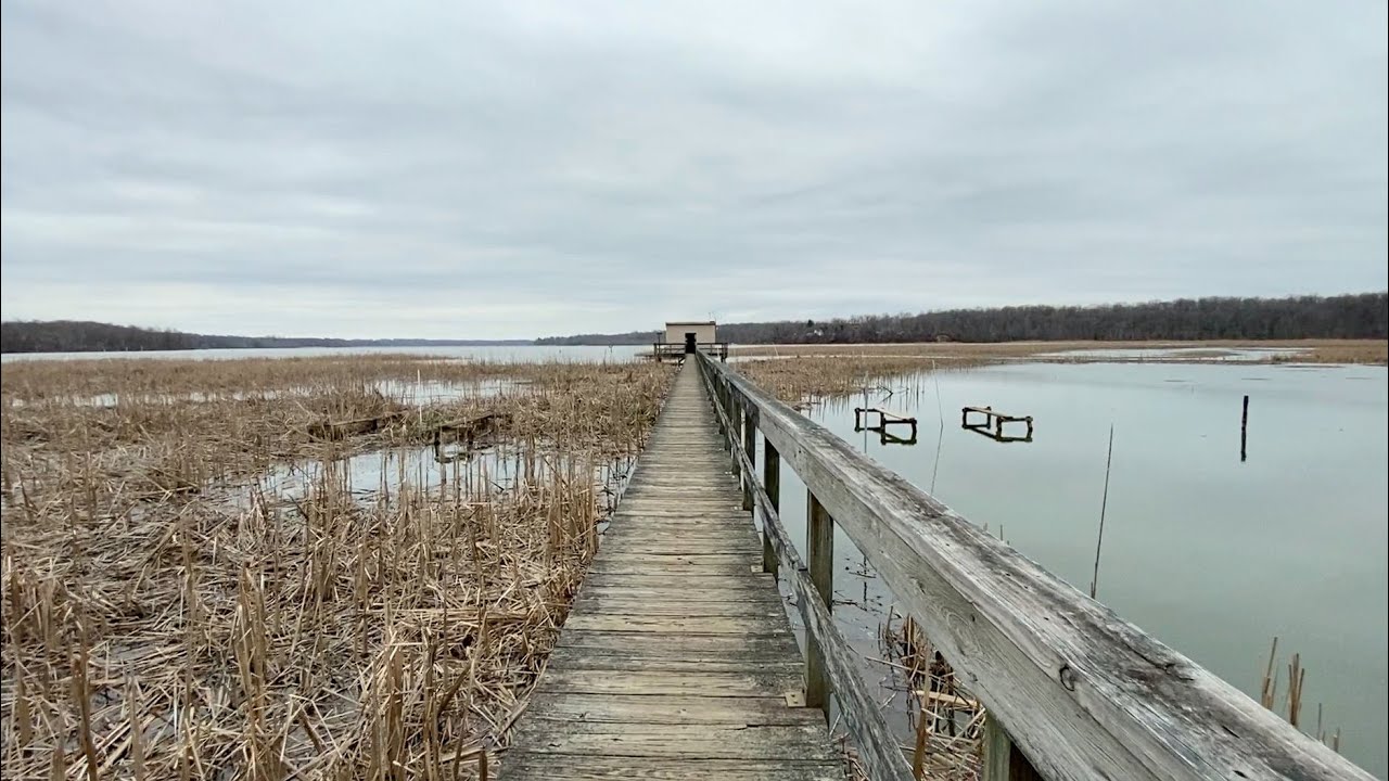 Hiking Jug Bay Wetlands Sanctuary, Maryland YouTube